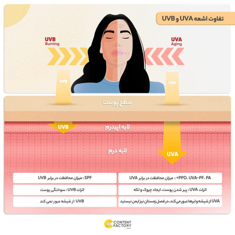 ضد افتاب کلاژن